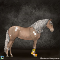 Horse Color:White Spotted Silver Black Pearl 