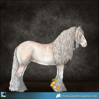 Horse Color:Silver Blue Onyx Ice Pearl Sabino Splash 