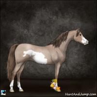 Horse Color:Blue Roan Pearl Frame 