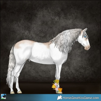Horse Color:White Spotted Silver Grullo Roan Pearl Splash Frame