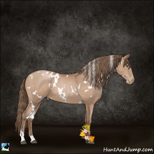 Horse Color:White Spotted Black Pearl 