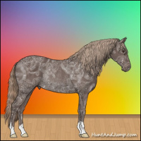 Horse Color:Liver Chestnut Ice Rabicano 