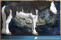 Horse Color:Liver Chestnut Sabino Splash