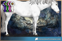 Horse Color:White Spotted Liver Chestnut Sabino 