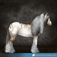 Horse Color:Gray White Spotted Liver Red Dun Tobiano Blanket 