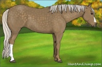 Horse Color:Silver Smoky Black 