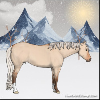Horse Color:Silver Bay Dun 