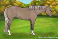 Horse Color:Silver Grullo 
