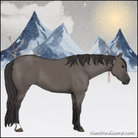 Horse Color:Smoky Grullo 