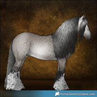 Horse Color:Gray White Spotted Grullo 