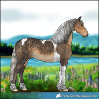 Horse Color:Silver Smoky Black Tobiano 
