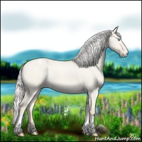 Horse Color:Silver Smoky Creme Dun Tobiano Appaloosa 