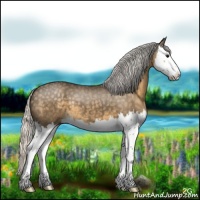 Horse Color:Silver Smoky Black Splash 