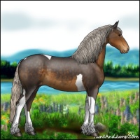 Horse Color:Silver Smoky Black Tobiano Appaloosa 