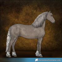 Horse Color:Silver Black Tobiano 