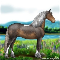Horse Color:Silver Smoky Black Tobiano Appaloosa 