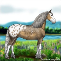 Horse Color:Silver Smoky Black Splash Appaloosa 