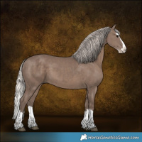 Horse Color:Silver Black Splash 