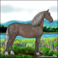Horse Color:Silver Black 