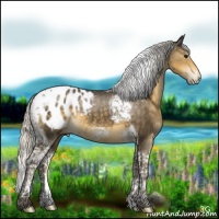 Horse Color:Silver Smoky Black Tobiano Frame Appaloosa 