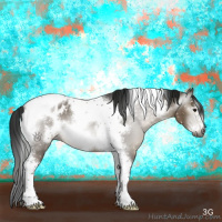 Horse Color:Gray Smoky Grullo Tobiano Frame Appaloosa 