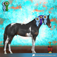 Horse Color:White Spotted Liver Red Dun Tobiano Rabicano and White Spotted Liver Chestnut Tobiano Rabicano