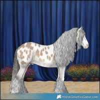 Horse Color:White Spotted Liver Red Dun Blanket 