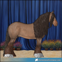 Horse Color:Liver Red Dun 