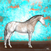Horse Color:White Spotted Liver Red Dun Splash Appaloosa Brindle 