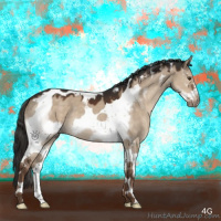 Horse Color:Liver Red Dun Tobiano Frame 