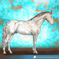 Horse Color:Chocolate Palomino Dun Sabino Appaloosa Brindle 