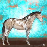 Horse Color:Liver Red Dun Splash Tobiano Brindle 