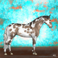 Horse Color:Liver Red Dun Mushroom Splash Tobiano Frame 