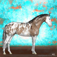 Horse Color:White Spotted Liver Red Dun Splash Blanket 