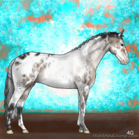 Horse Color:Brown Dun Mushroom Sabino Splash Tobiano Appaloosa Brindle 