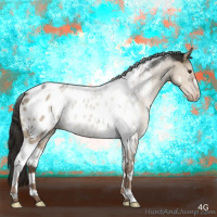 Horse Color:White Spotted Liver Red Dun Tobiano Appaloosa 