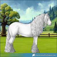 Horse Color:Gray Grullo Splash 