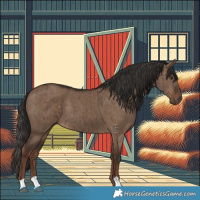Horse Color:Liver Red Dun Brindle 