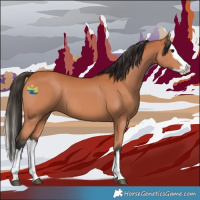 Horse Color:Bay Splash 