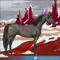 Horse Color:Grullo 