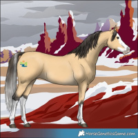 Horse Color:Buckskin Splash