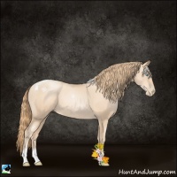 Horse Color:Gold Champagne Pearl Tobiano