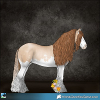 Horse Color:Red Dun Pearl Sabino Splash Rabicano 