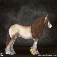 Horse Color:Liver Red Onyx Pearl 