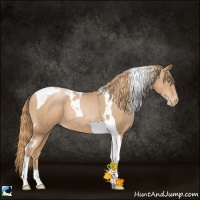 Horse Color:Chestnut Pearl Tobiano 