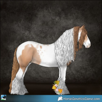 Horse Color:Bay Pearl Sabino Tobiano Rabicano 