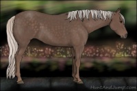 Horse Color:Silver Black 