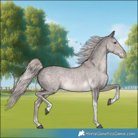 Horse Color:Platinum Chocolate Palomino Dun Sabino Tobiano 