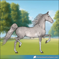 Horse Color:Platinum Chocolate Palomino Dun Sabino Tobiano
