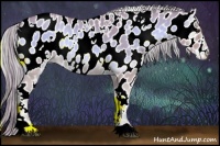 Horse Color:Watercolor White Spotted Palomino Onyx Appaloosa